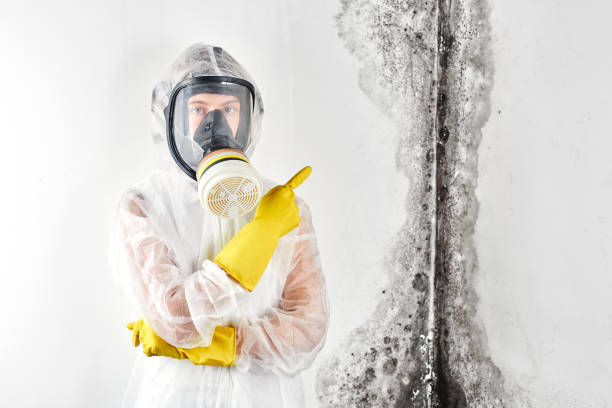 Hauppauge, NY Mold Inspection Company