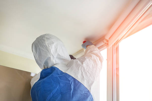 Best Mold Remediation for Vacation Homes  in Hauppauge, NY