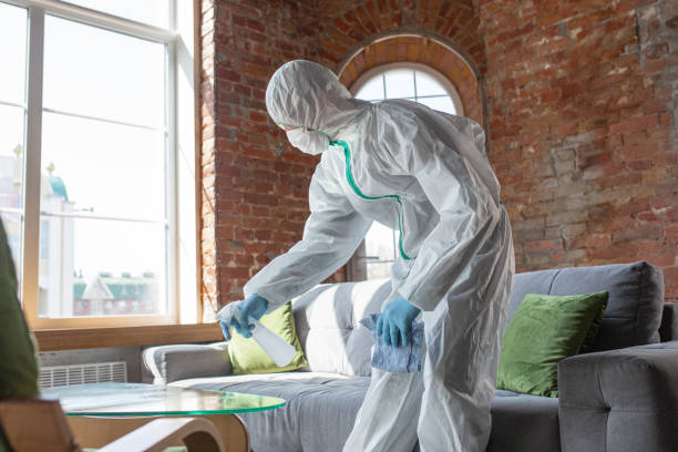 Best Forensic Mold Investigation  in Hauppauge, NY