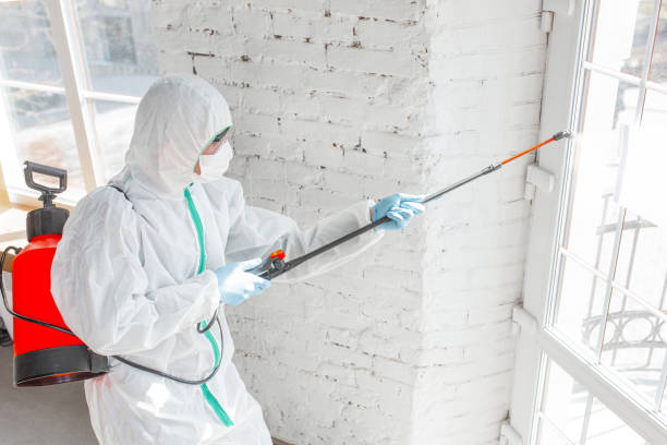 Best Comprehensive Air Testing for Mold Contaminants  in Hauppauge, NY