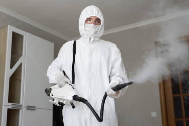 Best Industrial Mold Remediation  in Hauppauge, NY