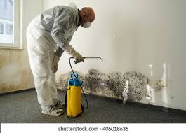 Why You Should Choose Our Mold Remediation Services in Hauppauge, NY